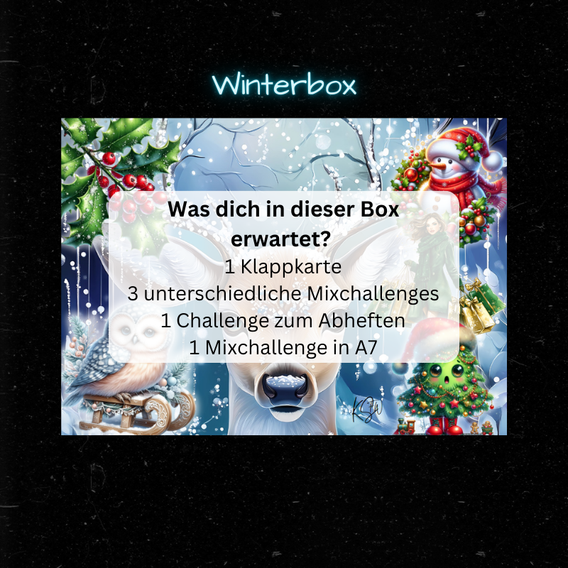 WINTERBOX- Überraschung / A6 & A7